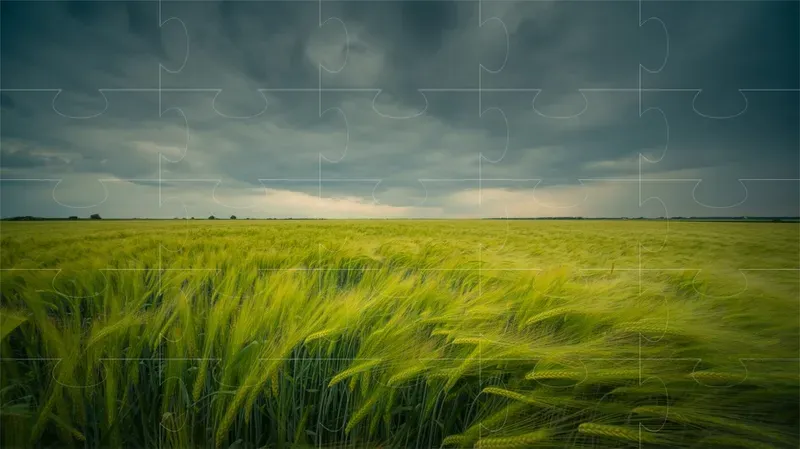 Modern HD Desktop Wallpapers