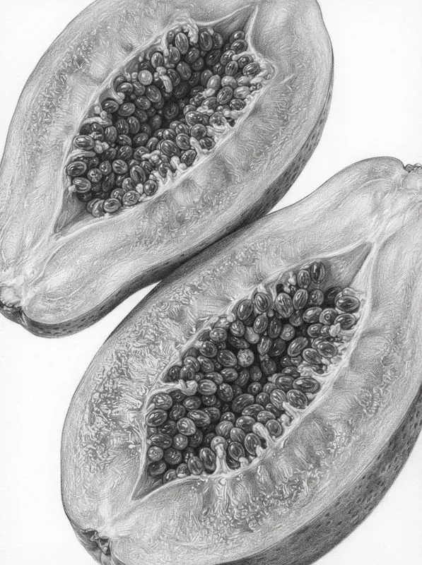 Hyper Realistic Graphite Pencil Posters
