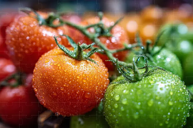 Photos Fruit And Vegetables At The Market