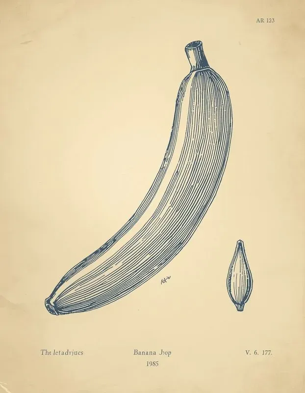 Vintage Scientific Illustration Style