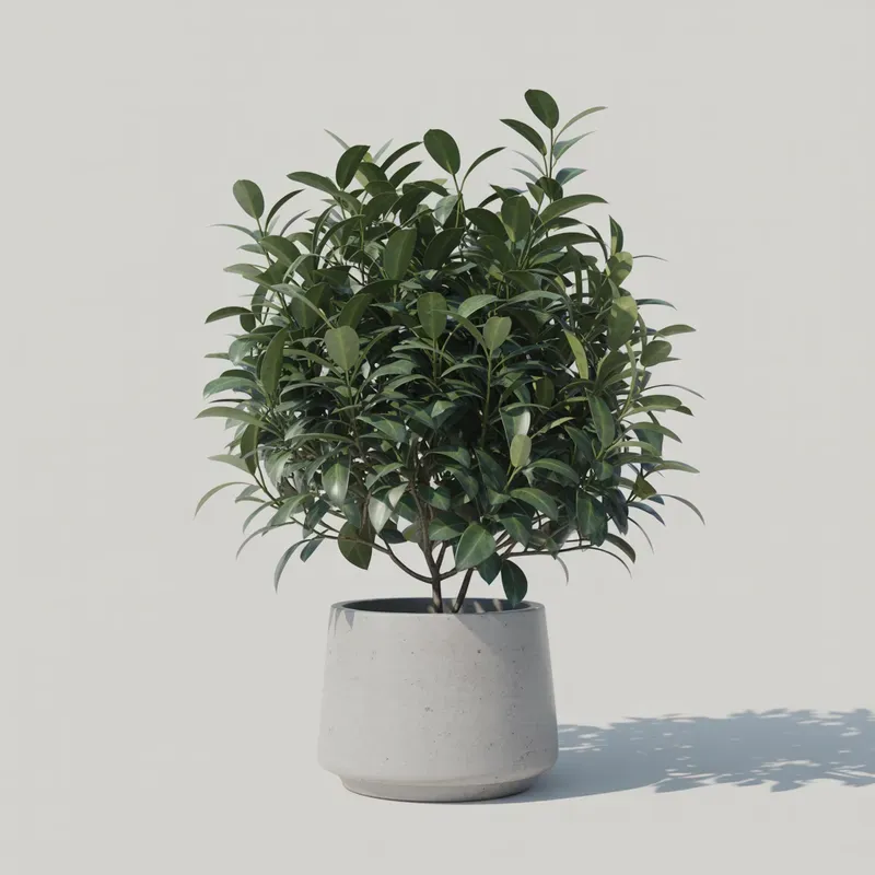 Realistic Indoor Plants