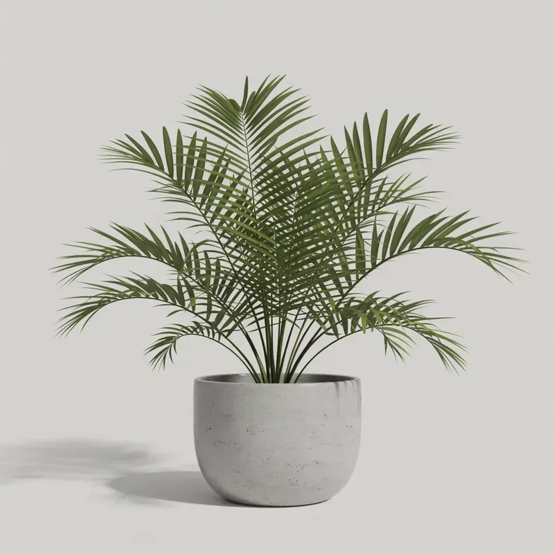 Realistic Indoor Plants
