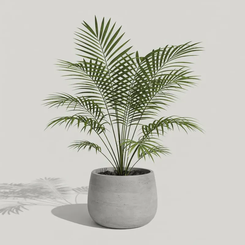 Realistic Indoor Plants