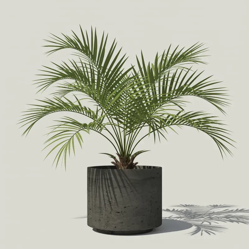 Realistic Indoor Plants