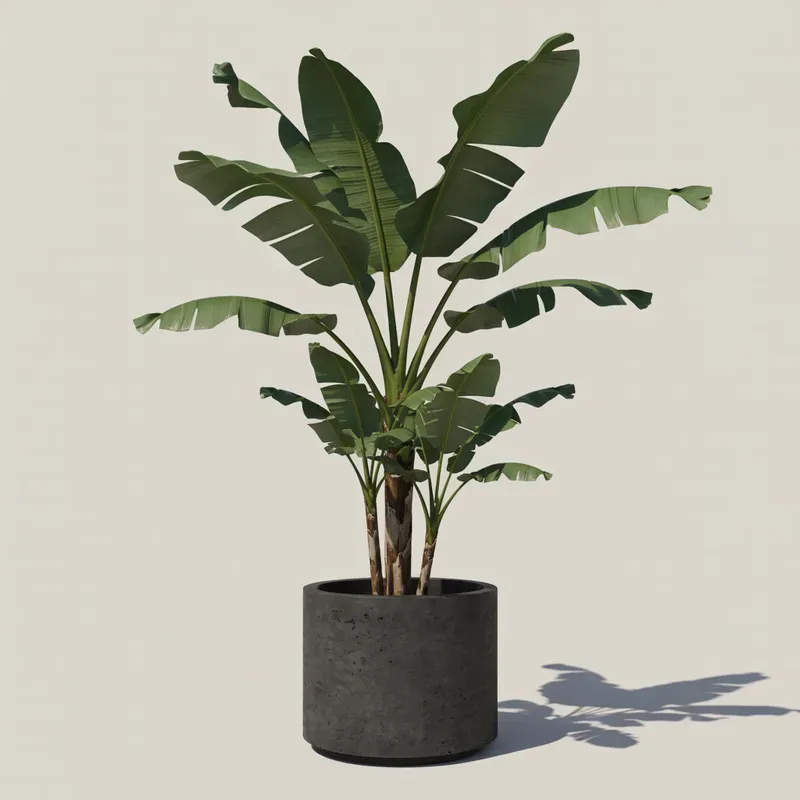 Realistic Indoor Plants