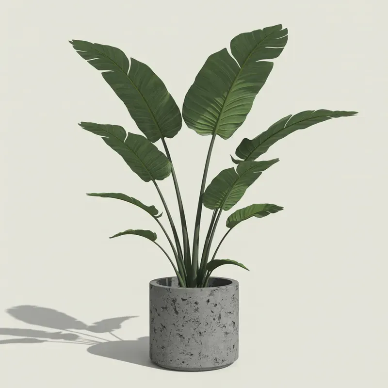Realistic Indoor Plants