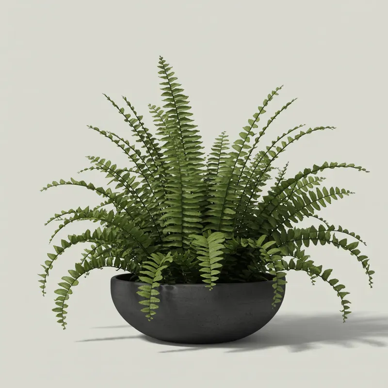 Realistic Indoor Plants