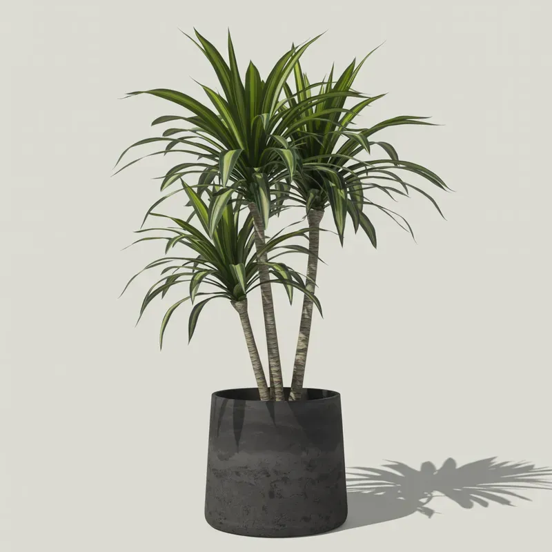 Realistic Indoor Plants