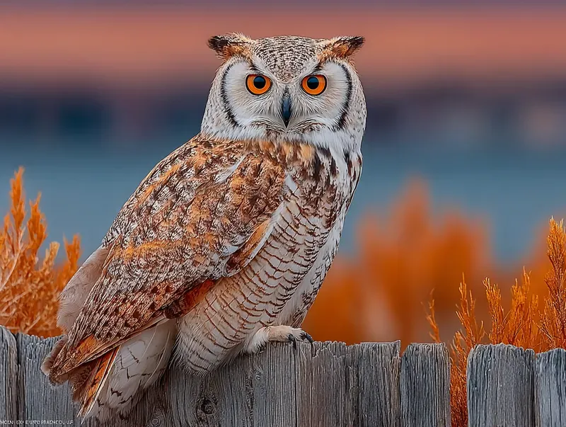 Cinematic Golden Hour Wildlife