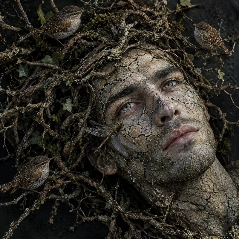 Natures Faces