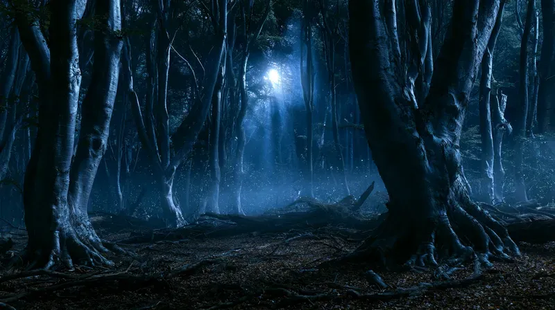 Moonlight Landscape Photography Generator