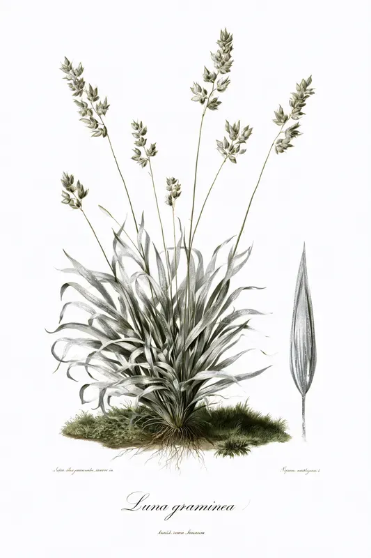 Fantasy Herbarium Art Generator