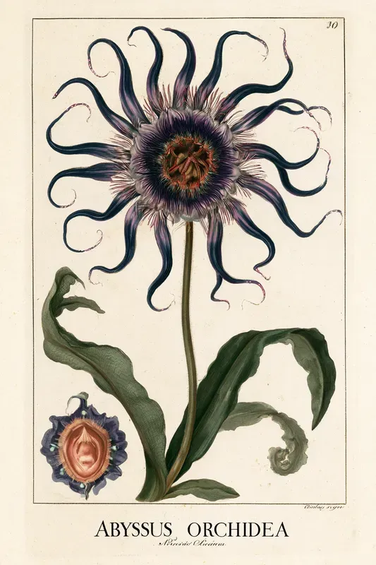 Fantasy Herbarium Art Generator