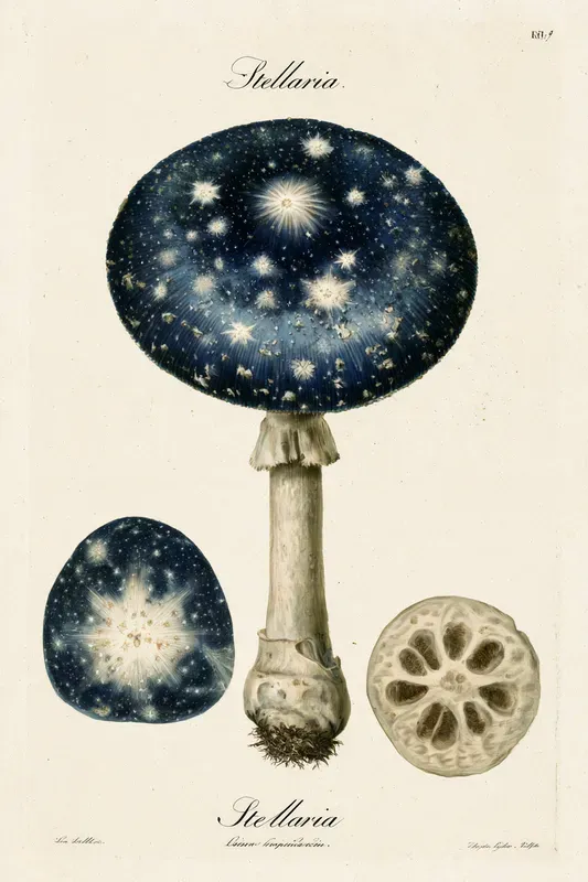 Fantasy Herbarium Art Generator