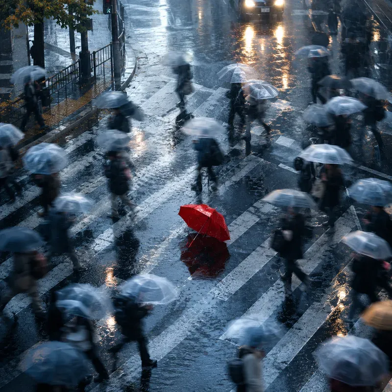 Rainy Crowd Cinematic Solitude Descriptions