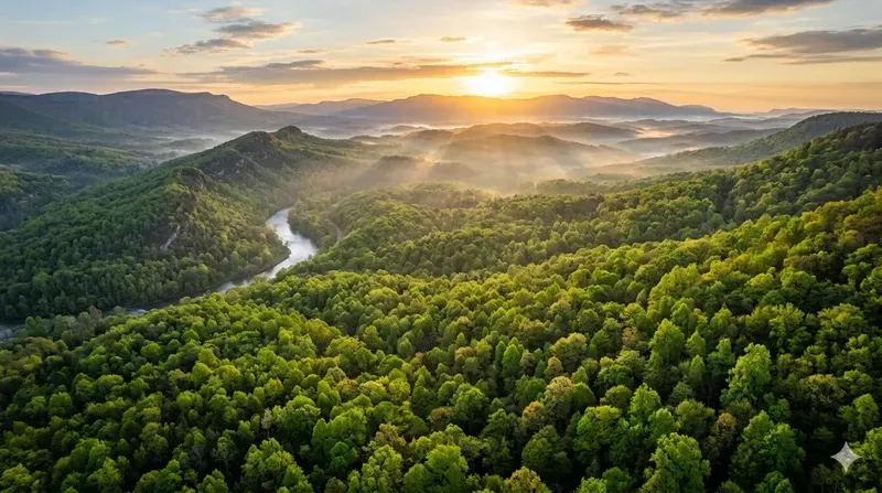 Cinematic Spring Aerial Landscapes