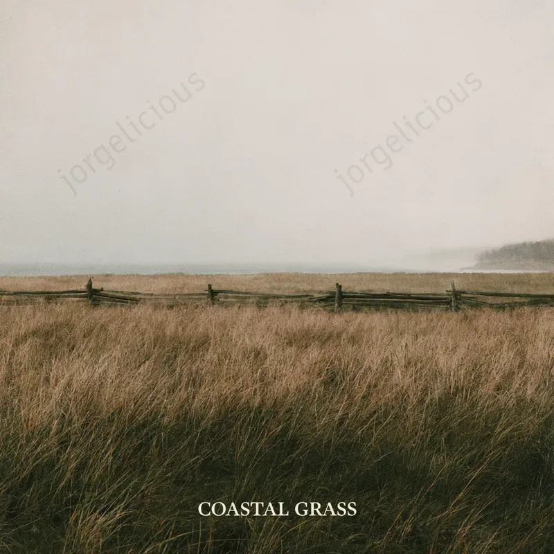 Quiet Rural Melancholy Covers