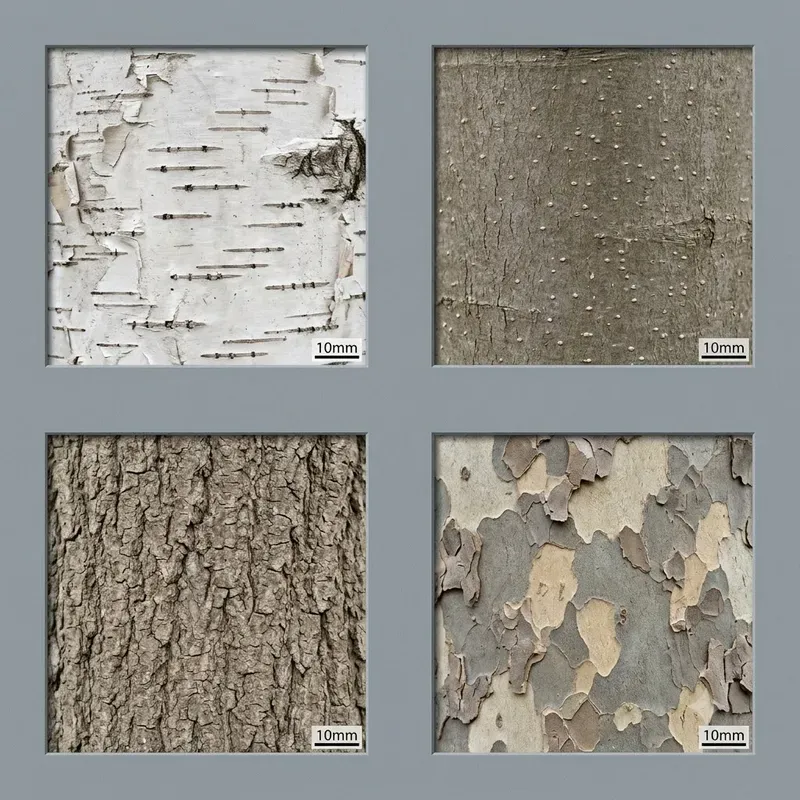 Botanical Texture Reference Atlases