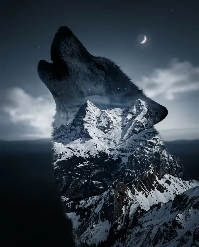 Surreal Double Exposure Portrait Masters