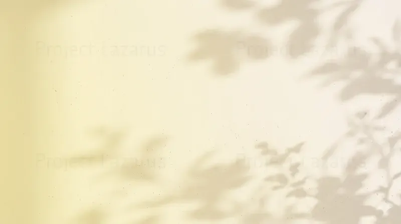Minimal Pastel Web Backgrounds