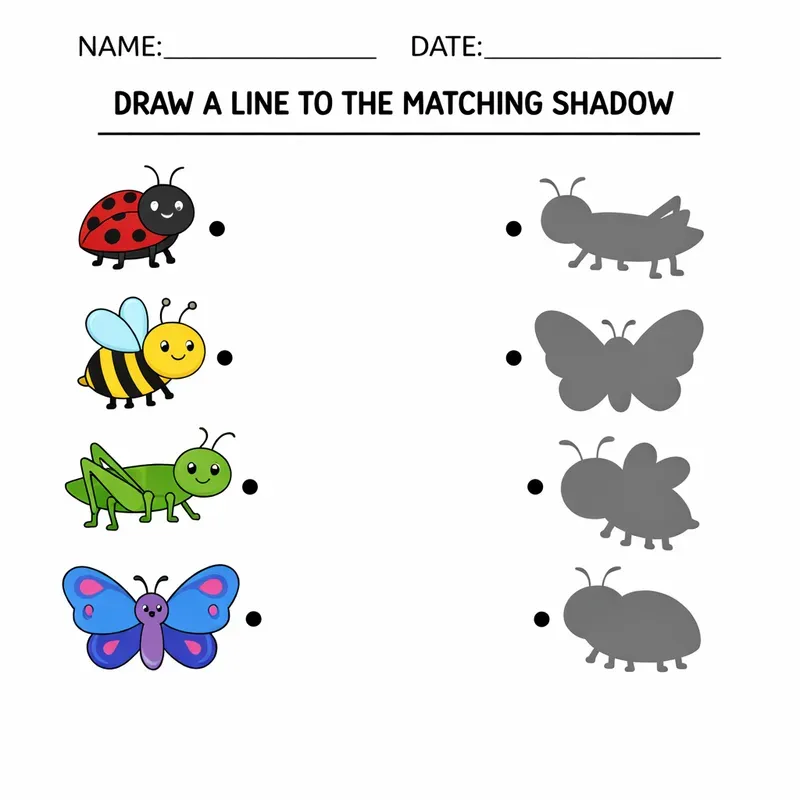Shadow Matching Worksheets For Kids