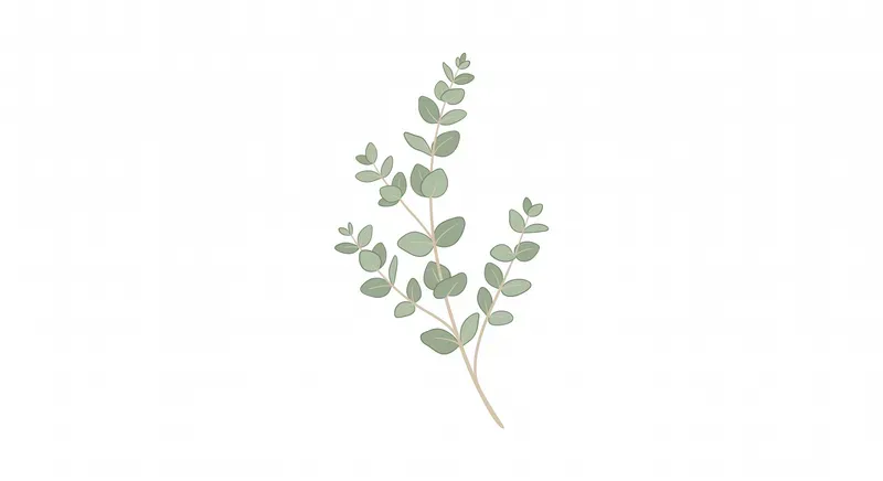 Minimalist Boho Botanicals
