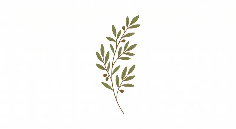 Minimalist Boho Botanicals