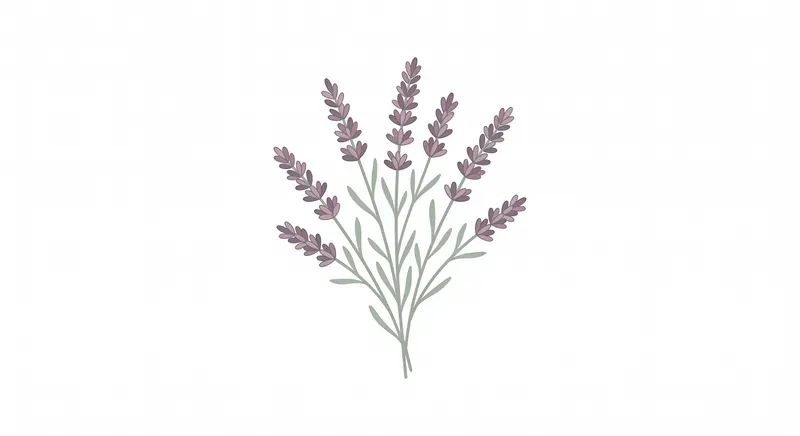Minimalist Boho Botanicals
