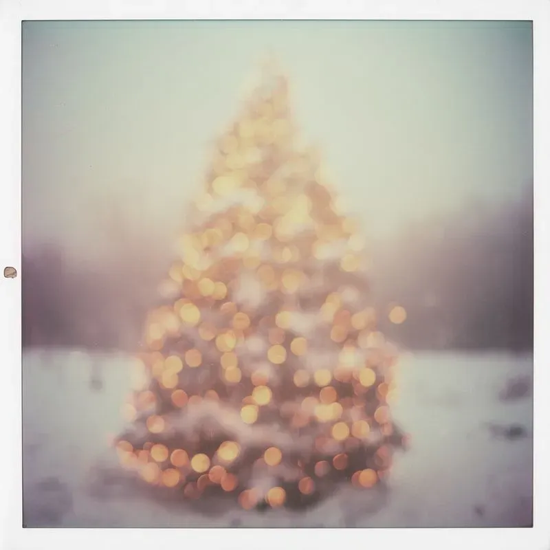 Dreamy Polaroids