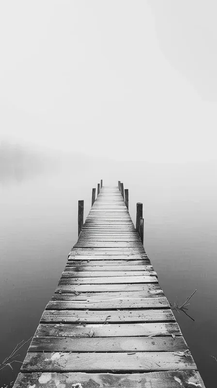 Serene Bw Nature Shots