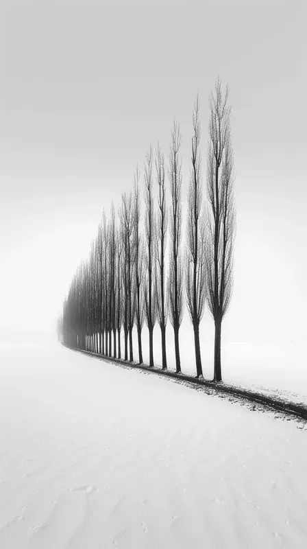 Serene Bw Nature Shots