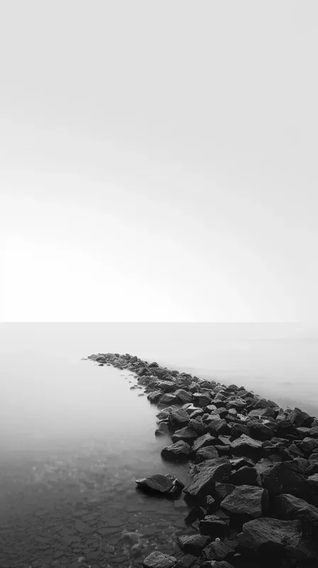 Serene Bw Nature Shots