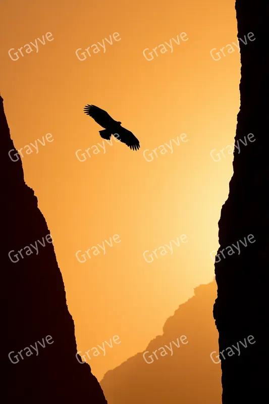 Cinematic Negative Space Silhouettes