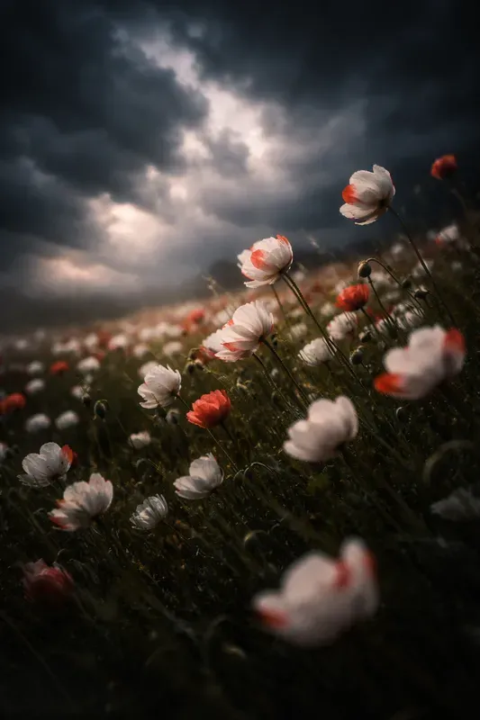 Cinematic Moody Fineart Scenes