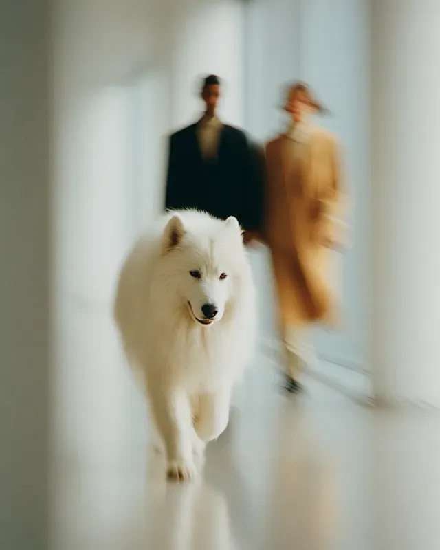Soft Blur Cinematic Lifestyles