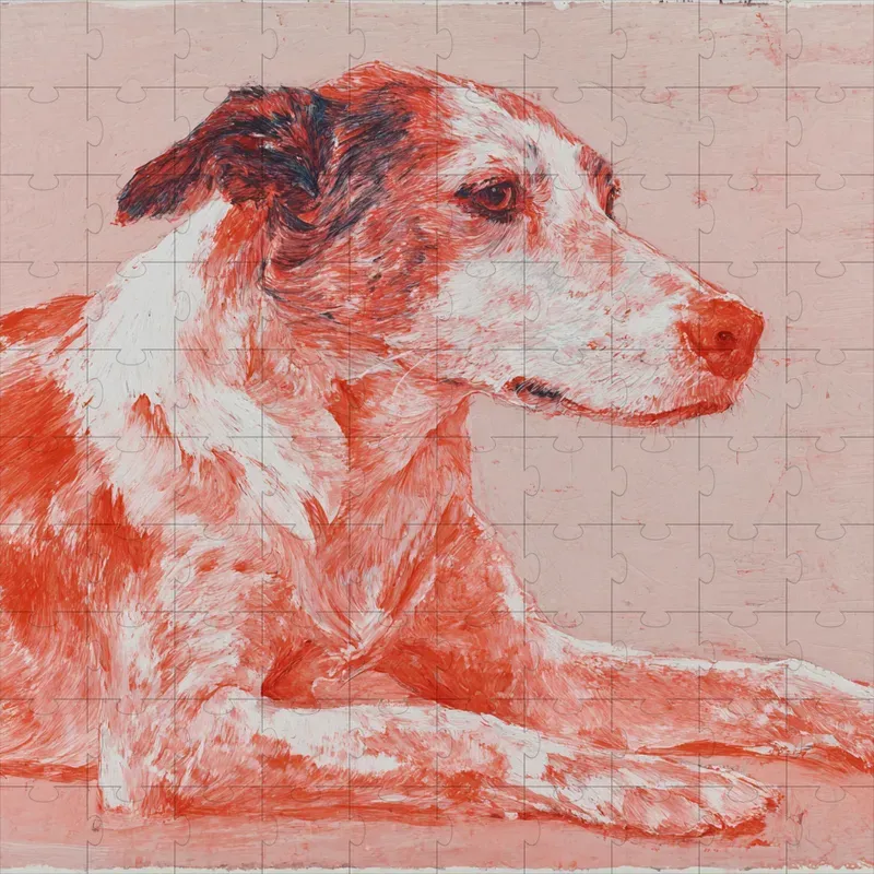 Soft Coral Painterly Portraits
