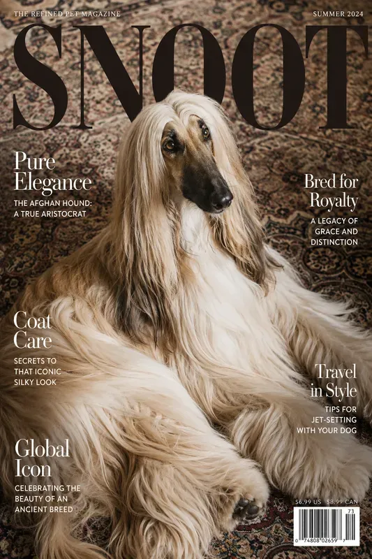Pet Editorial Magazine Covers