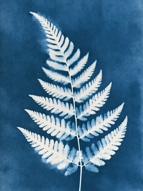 Junk Journal Cyanotype Nature Pages