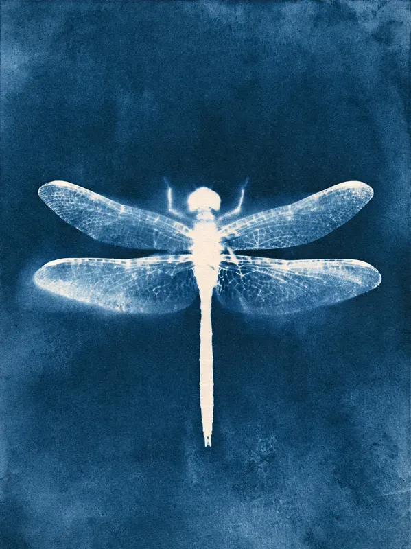 Junk Journal Cyanotype Nature Pages