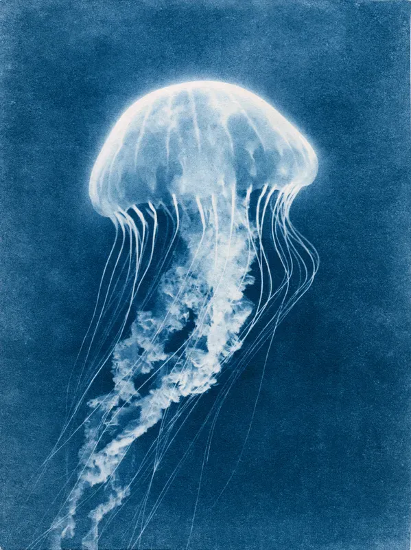 Junk Journal Cyanotype Nature Pages