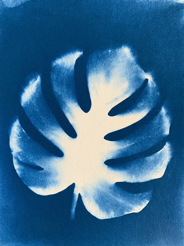 Junk Journal Cyanotype Nature Pages