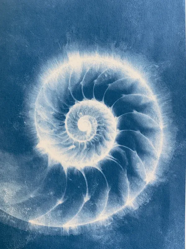 Junk Journal Cyanotype Nature Pages