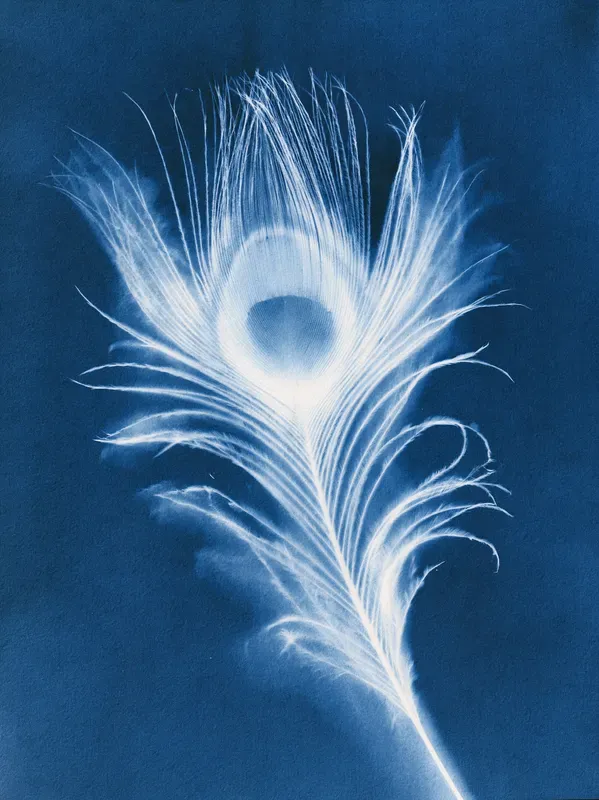 Junk Journal Cyanotype Nature Pages