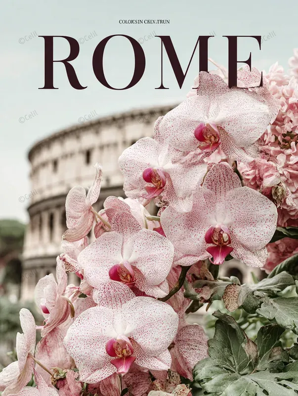 Orchid Fusion Travel Posters