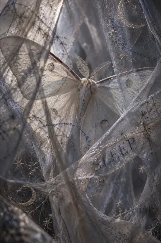Gossamer Gothic Surreal Art