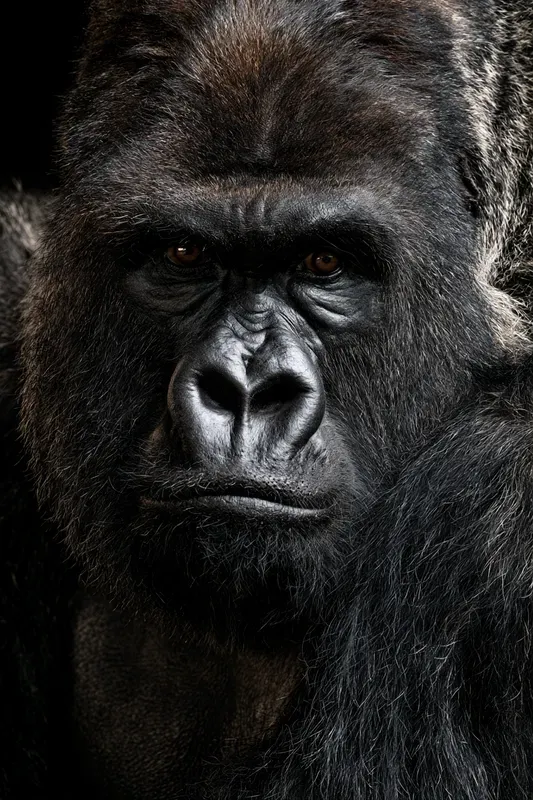 Large Mammal Portrait Generator