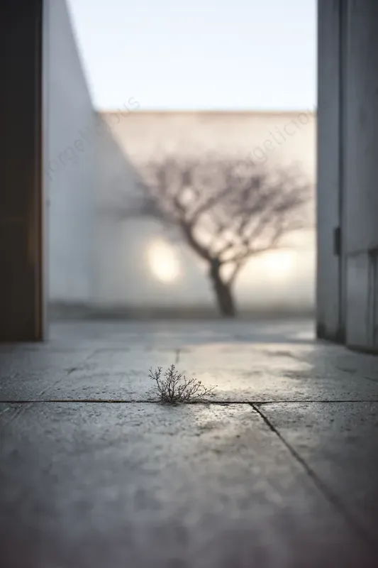 Minimal Perceptual Covers