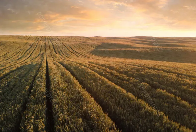 Cinematic Farm Drone Wallpapers