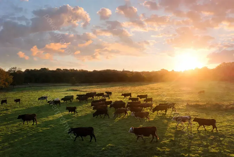 Cinematic Farm Drone Wallpapers