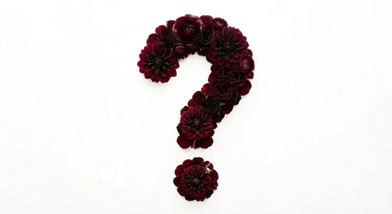 Floral Flat Lay Numbers Symbols
